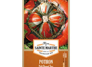 Potiron Petit Bonnet Turc
