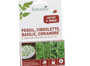 Tapis 4 aromatiques
