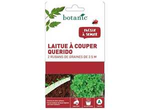 Ruban laitue à couper Querido