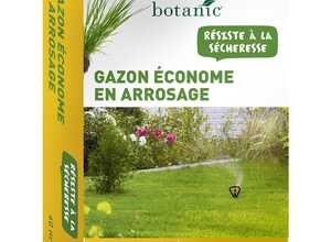 Graines de gazon à semer économe en arrosage pour création botanic® - 1 kg
