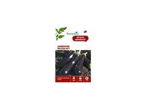 Aubergine Mileda HF1 x2 sachets Aubergine Mileda HF1 x2 sachets