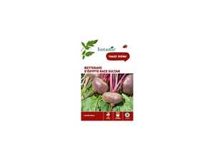 Betterave d'egypte race sultan Caillard x2 sachets Betterave d'egypte race sultan Caillard x2 sachets