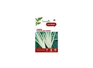 Cardon Plein Blanc Inerme Caillard x2 sachets Cardon Plein Blanc Inerme Caillard x2 sachets