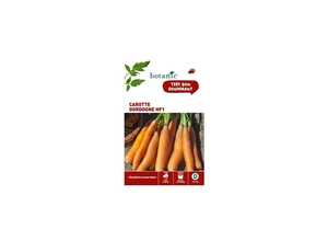Carotte Dordogne HF1 x2 sachets Carotte Dordogne HF1 x2 sachets