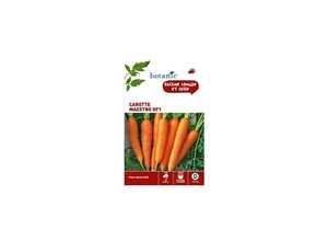 Carotte maestro hyb.f1 x2 sachets Carotte maestro hyb.f1 x2 sachets