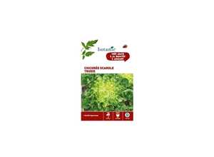 Chicorée scarole trudie Caillard x2 sachets Chicorée scarole trudie Caillard x2 sachets
