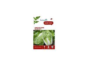 Chou de Chine Blues HF1 x2 sachets Chou de Chine Blues HF1 x2 sachets