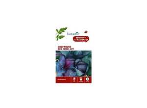 Chou rouge red jewel hybride f1 Chou rouge red jewel hybride f1