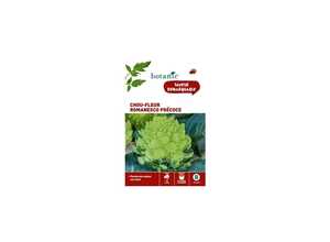 Chou-Fleur Romanesco Précoce Caillard x2 sachets Chou-Fleur Romanesco Précoce Caillard x2 sachets
