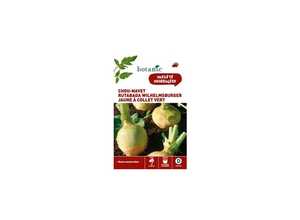 Chou-Navet Rutabaga Wilhelmsburger Caillard Chou-Navet Rutabaga Wilhelmsburger Caillard