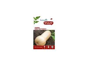 Courge early butternut x2 sachets Courge early butternut x2 sachets