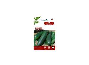 Courgette Diamant HF1 x2 sachets Courgette Diamant HF1 x2 sachets