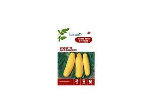 Courgette gold rush hybride f1 x2 sachets Courgette gold rush hybride f1 x2 sachets