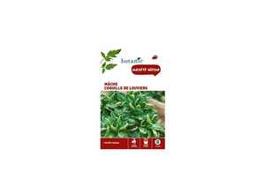 Mâche Coquille de Louviers Caillard x2 sachets Mâche Coquille de Louviers Caillard x2 sachets