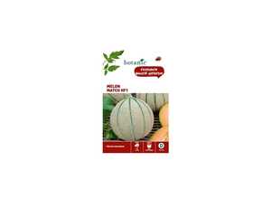 Melon match hybride f1 x2 sachets