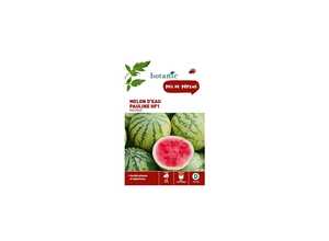 Melon d’Eau Pauline HF1 pastèque x2 sachets