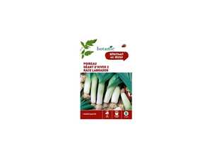 Poireau Géant d’Hiver 2 Race Labrador Caillard x2 sachets
