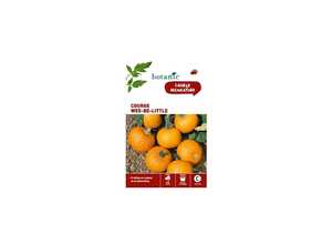 Courge wee-be-little Insolite x2 sachets Courge wee-be-little Insolite x2 sachets