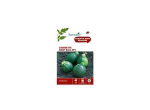 Courgette eight ball hybride f1 Insolite x2 sachets Courgette eight ball hybride f1 Insolite x2 sachets