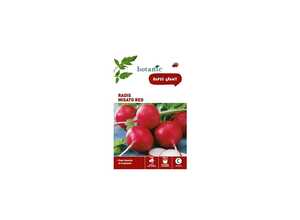 Radis misato red Insolite x2 sachets Radis misato red Insolite x2 sachets