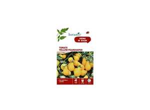 Tomate yellow pearshaped Insolite x2 sachets Tomate yellow pearshaped Insolite x2 sachets