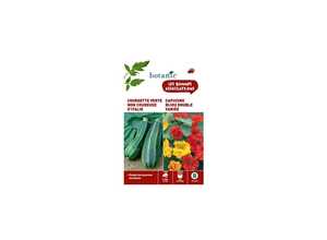 Courgette verte non coureuse d'Italie + capucine bijou doubl Duo compagne Courgette verte non coureuse d'Italie + capucine bijou doubl Duo compagne