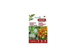 Courgette de nice a fruit rond + cosmos bright lights varie Duo compagne Courgette de nice a fruit rond + cosmos bright lights varie Duo compagne