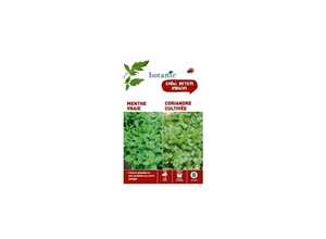 Menthe vraie + coriandre cultivee Duo aromatique