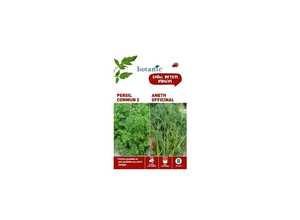 Persil commun 2  +  aneth officinal Duo aromatique