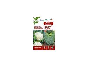 Chou fleur merveille de toutes saisons + chou brocoli ramo Duo potagere Chou fleur merveille de toutes saisons + chou brocoli ramo Duo potagere