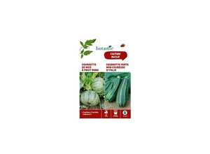 Courgette de nice a fruit rond + courgette verte non coureuse Duo potagere Courgette de nice a fruit rond + courgette verte non coureuse Duo potagere