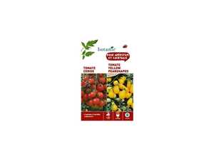 Tomate cerise rouge + tomate yellow pearshaped Duo potagere Tomate cerise rouge + tomate yellow pearshaped Duo potagere