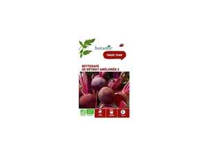 Betterave de Détroit Améliorée 2 AB BIO Betterave de Détroit Améliorée 2 AB BIO