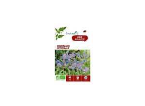 Bourrache officinale BIO Bourrache officinale BIO