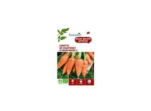 Carotte de Chantenay à Cœur Rouge 2 AB BIO Carotte de Chantenay à Cœur Rouge 2 AB BIO