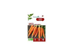 Carotte Nantaise Améliorée 3 AB BIO Carotte Nantaise Améliorée 3 AB BIO