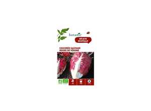 Chicorée Sauvage Rouge de Vérone AB BIO Chicorée Sauvage Rouge de Vérone AB BIO