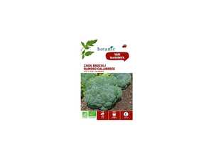 CHOU BROCOLIS VERT CALABRAIS RAMOSO BIO CHOU BROCOLIS VERT CALABRAIS RAMOSO BIO