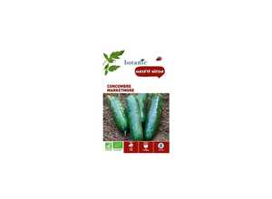Concombre marketmore bio BIO Concombre marketmore bio BIO