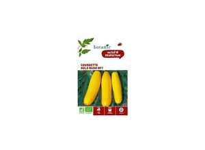 Courgette Gold Rush HF1 AB Bio Courgette Gold Rush HF1 AB Bio