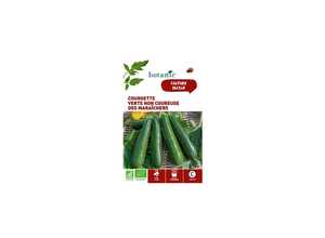 Courgette Verte Non Coureuse des Maraîchers AB Bio Courgette Verte Non Coureuse des Maraîchers AB Bio
