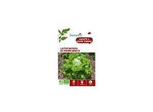 Laitue Batavia de Pierre Bénite AB BIO Laitue Batavia de Pierre Bénite AB BIO