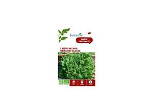 Laitue Batavia Reine des Glaces AB BIO Laitue Batavia Reine des Glaces AB BIO