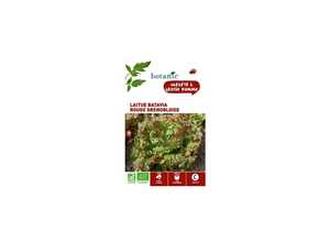Laitue Batavia Rouge Grenobloise AB BIO Laitue Batavia Rouge Grenobloise AB BIO