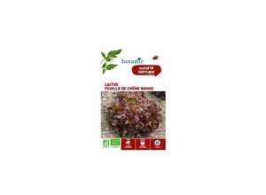 Laitue Feuille de Chêne Rouge AB BIO Laitue Feuille de Chêne Rouge AB BIO