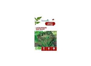 Laitue Romaine Saint Blaise Parris Island Cos AB BIO Laitue Romaine Saint Blaise Parris Island Cos AB BIO