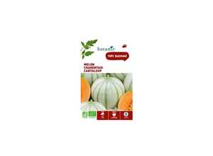 Melon Charentais Cantaloup AB BIO