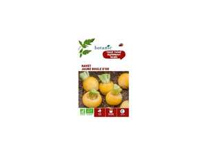 Navet Jaune Boule d’Or AB BIO