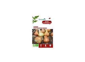 Oignon Stuttgarter Riesen AB Bio