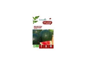 Melon d’Eau - Pastèque Sugar Baby  AB BIO